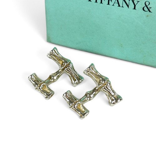 Tiffany silver 925 - &, nature